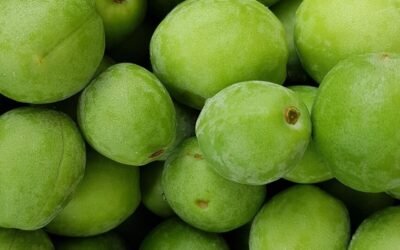 Gratis download af købstilbud skabelon som PDF
